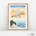 Cuadro Aves Gaviotas Japón