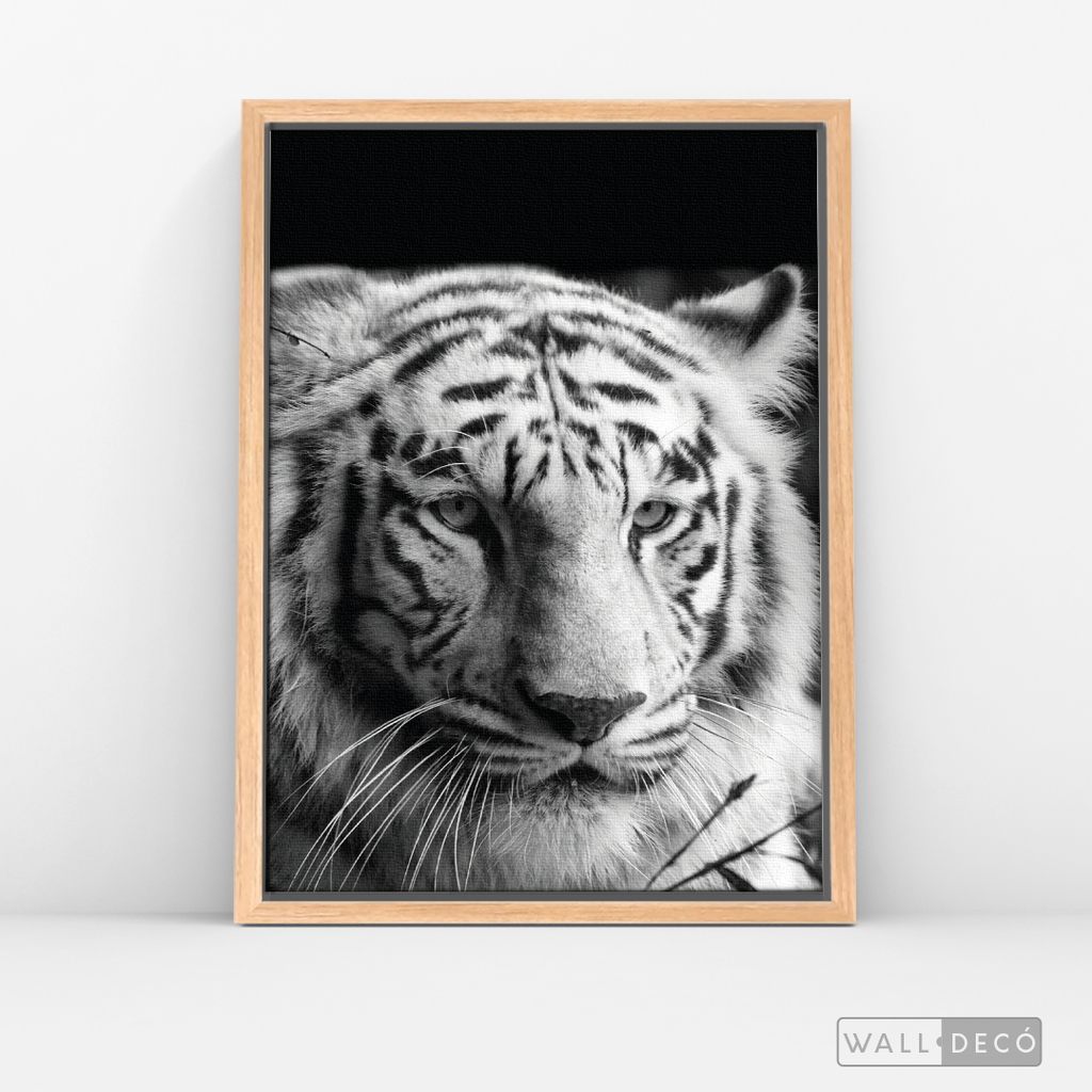 Cuadro Animales Tigre Blanco B/N
