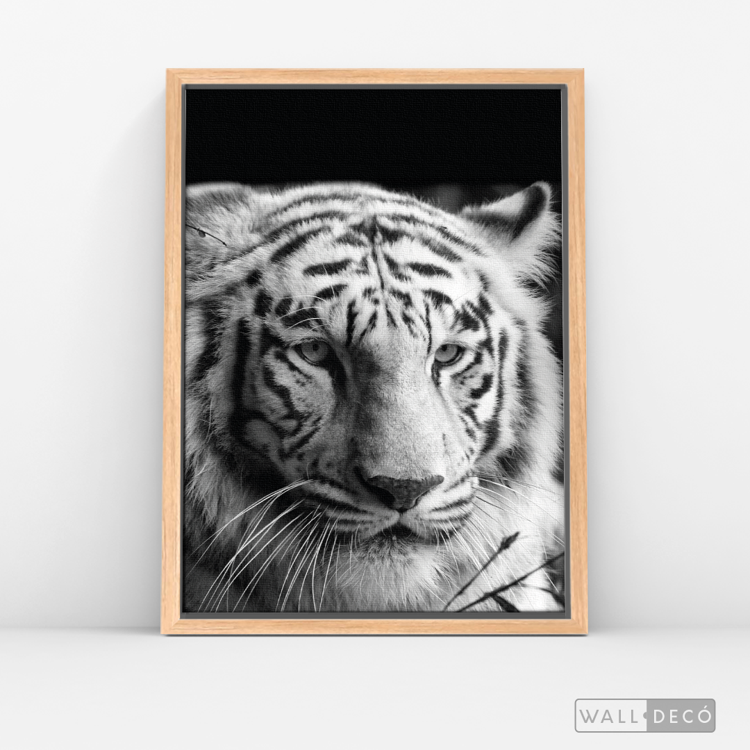 Cuadro Animales Tigre Blanco B/N