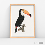 Cuadro Aves Tucan Colombiano 3