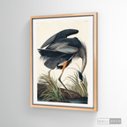 Cuadro Aves Garza