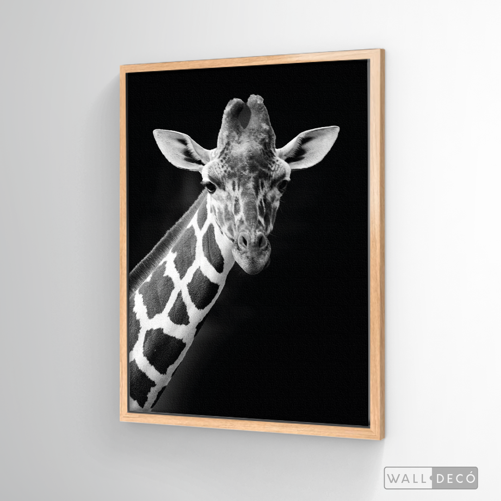 Cuadro Animales Jirafa B/N