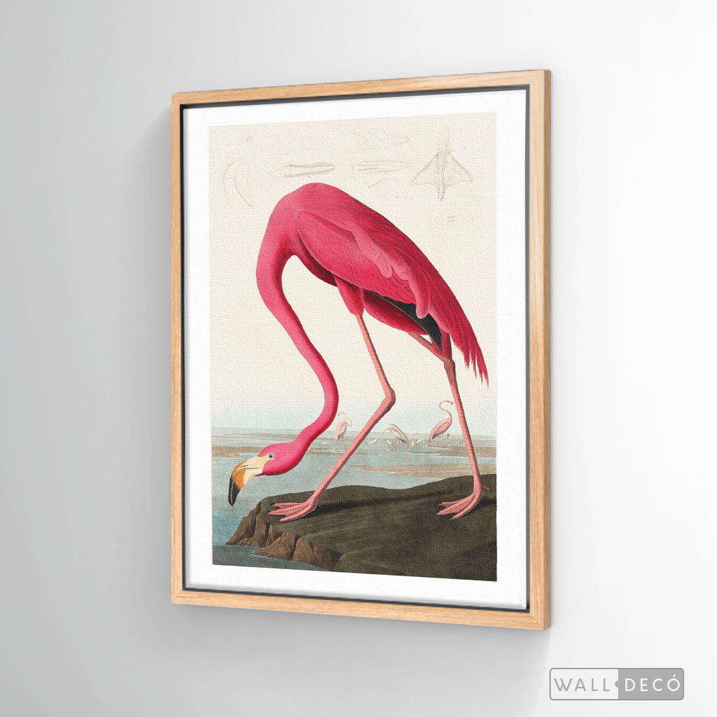 Cuadro Aves Flamenco Mayor