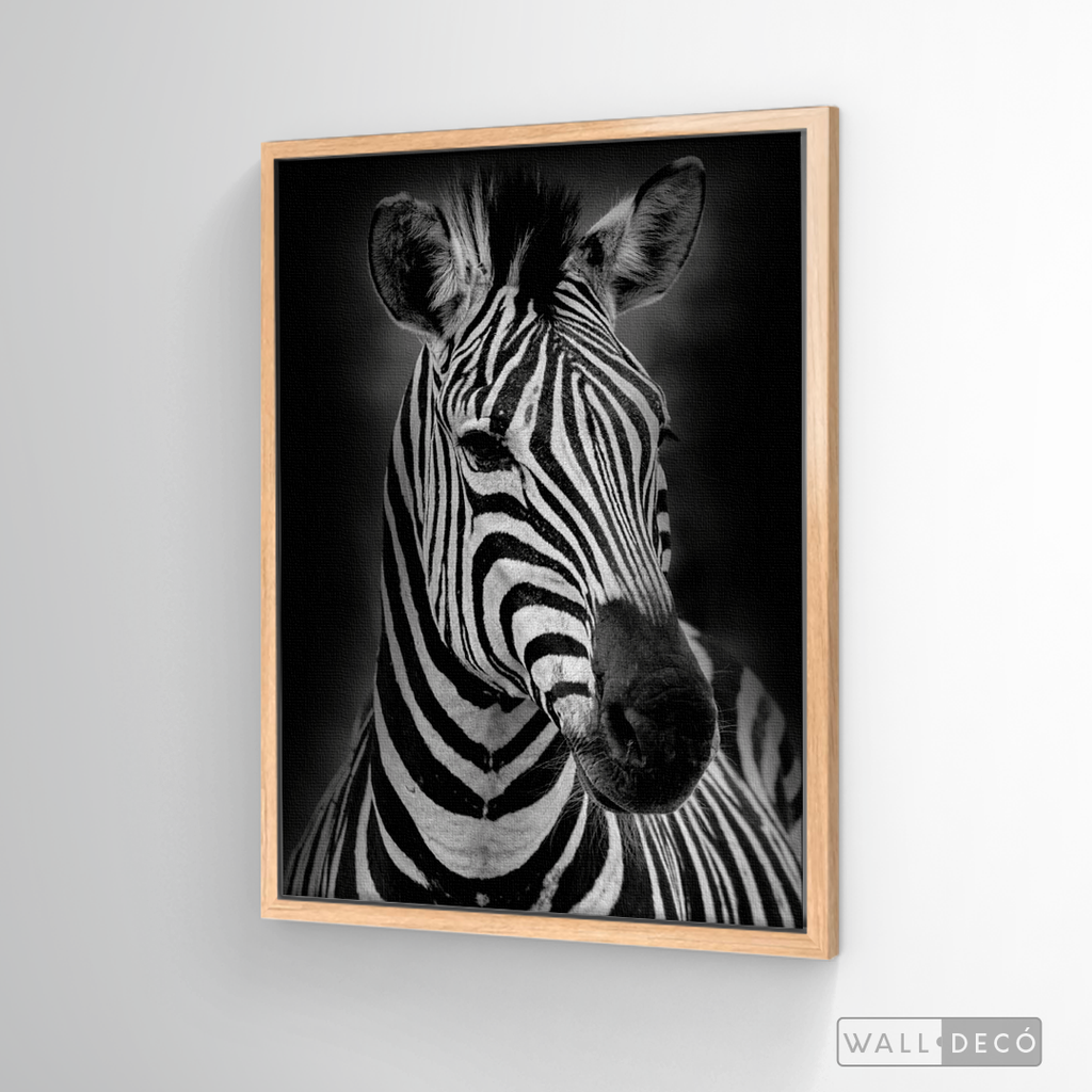 Cuadro Animales Cebra B/N