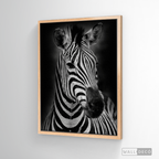 Cuadro Animales Cebra B/N