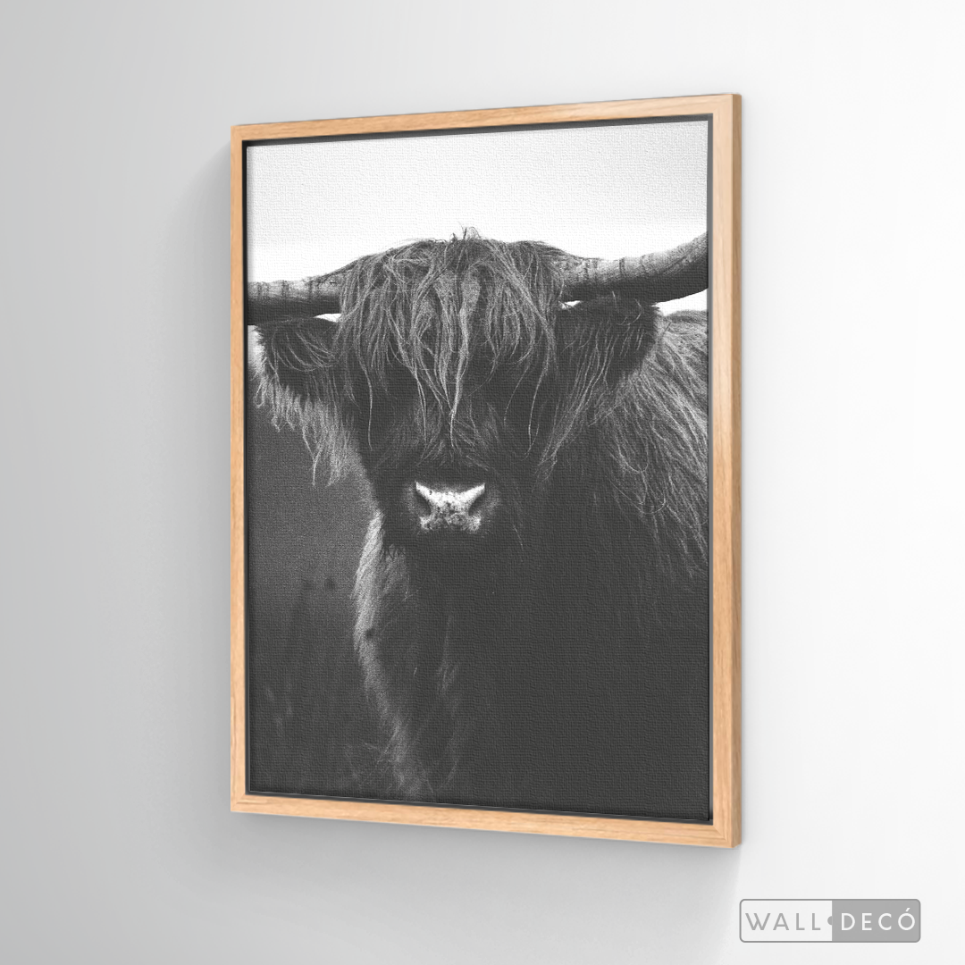 Cuadro Animales Bisonte