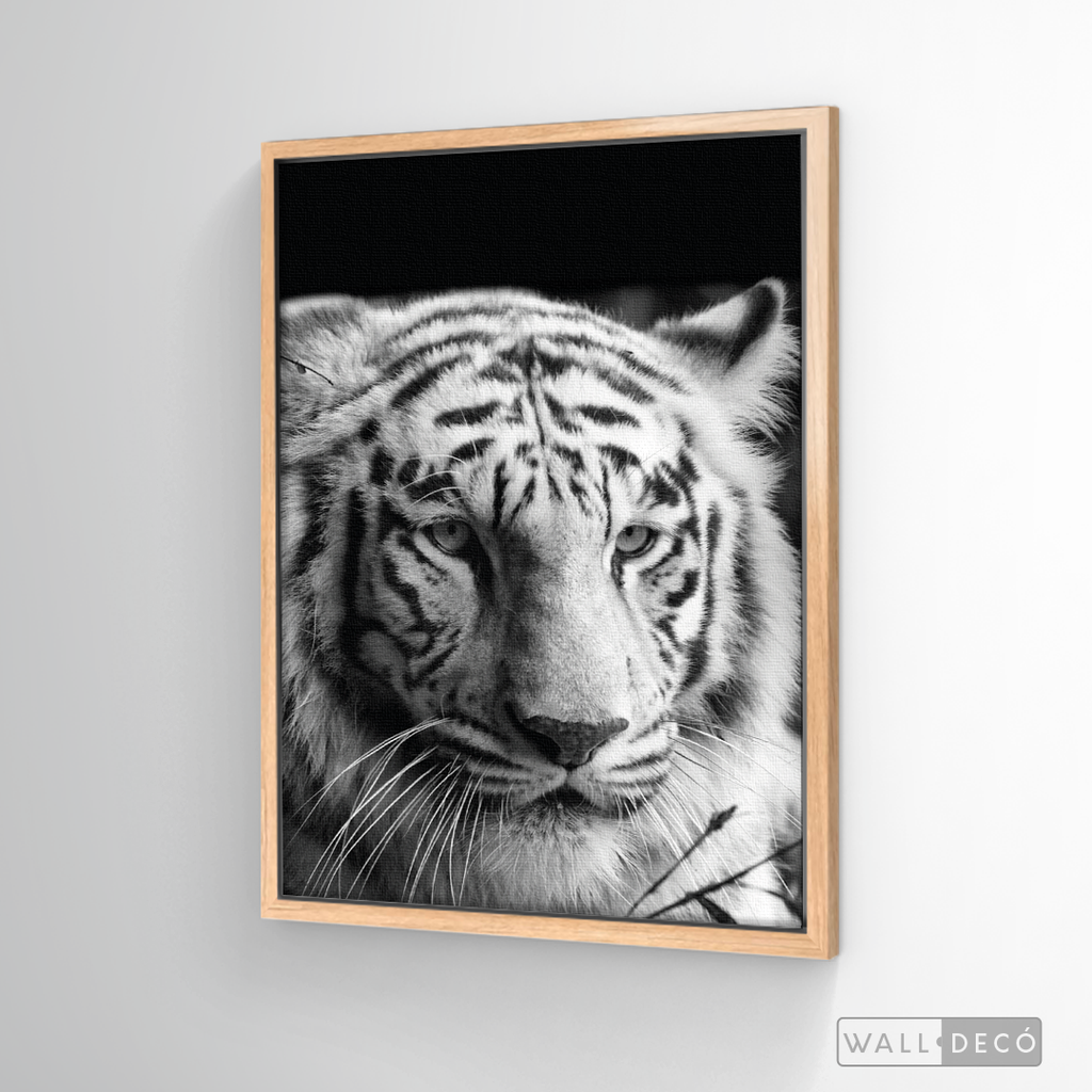 Cuadro Animales Tigre Blanco B/N