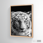 Cuadro Animales Tigre Blanco B/N
