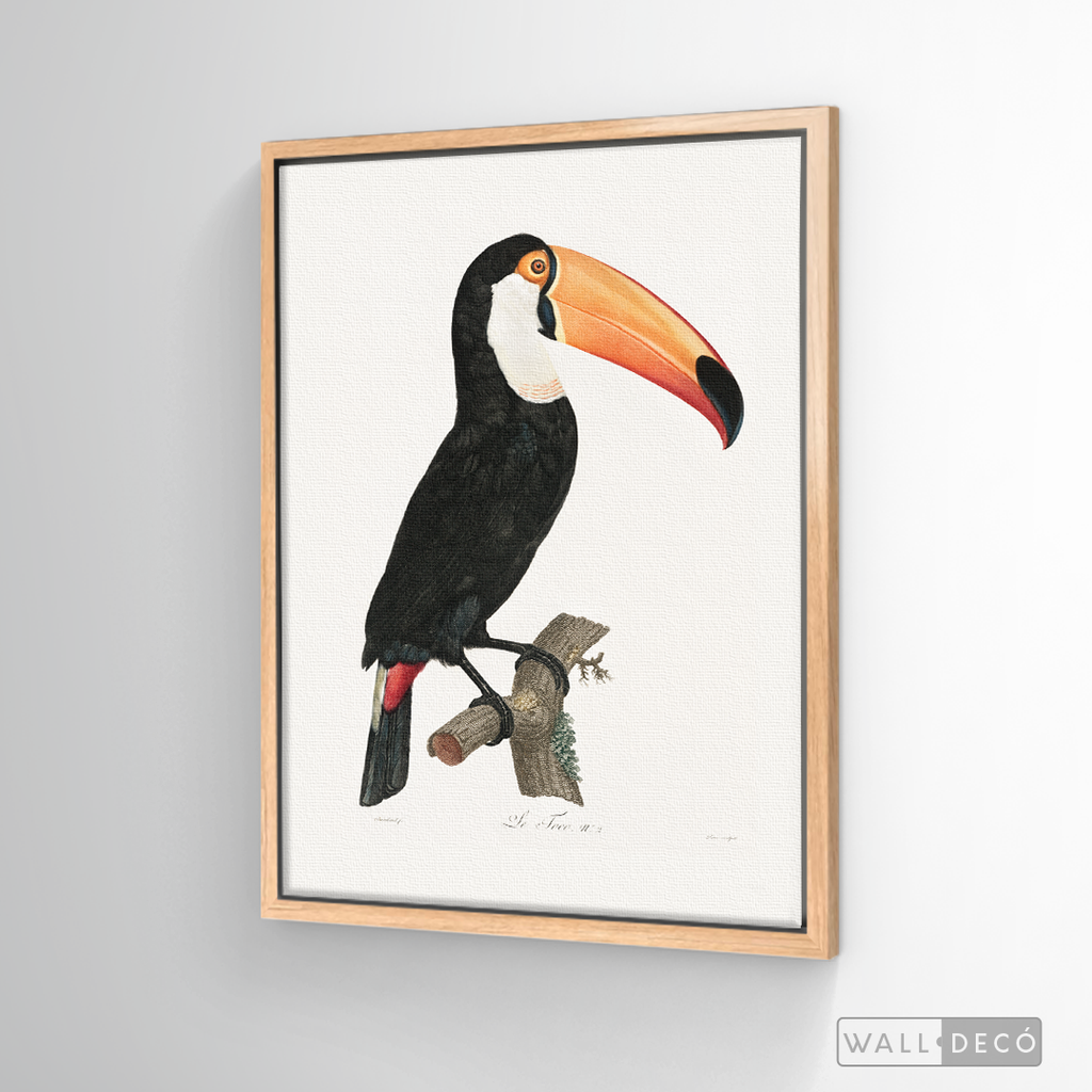 Cuadro Aves Tucan Colombiano 3