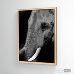 Cargar imagen en el visor de la galería, Cuadro Animales Elefante B/N

