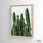 Cuadro Botánico CACTUS