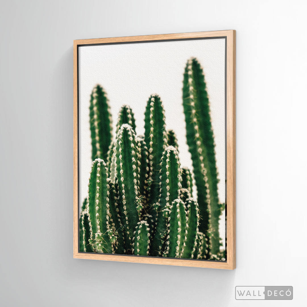 Cuadro Botánico CACTUS