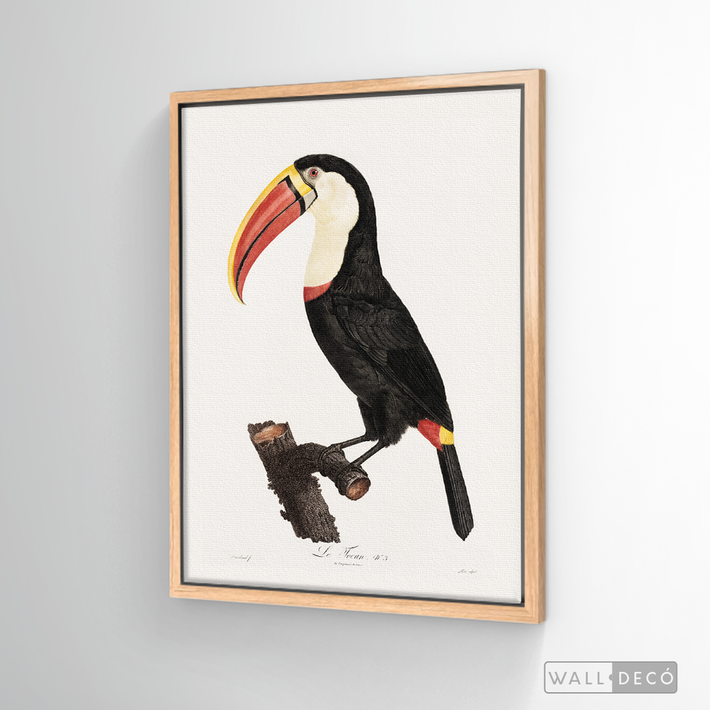Cuadro Aves Tucan Colombiano 2
