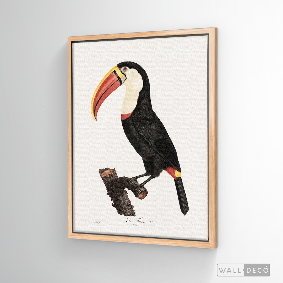 Cuadro Aves Tucan Colombiano 2