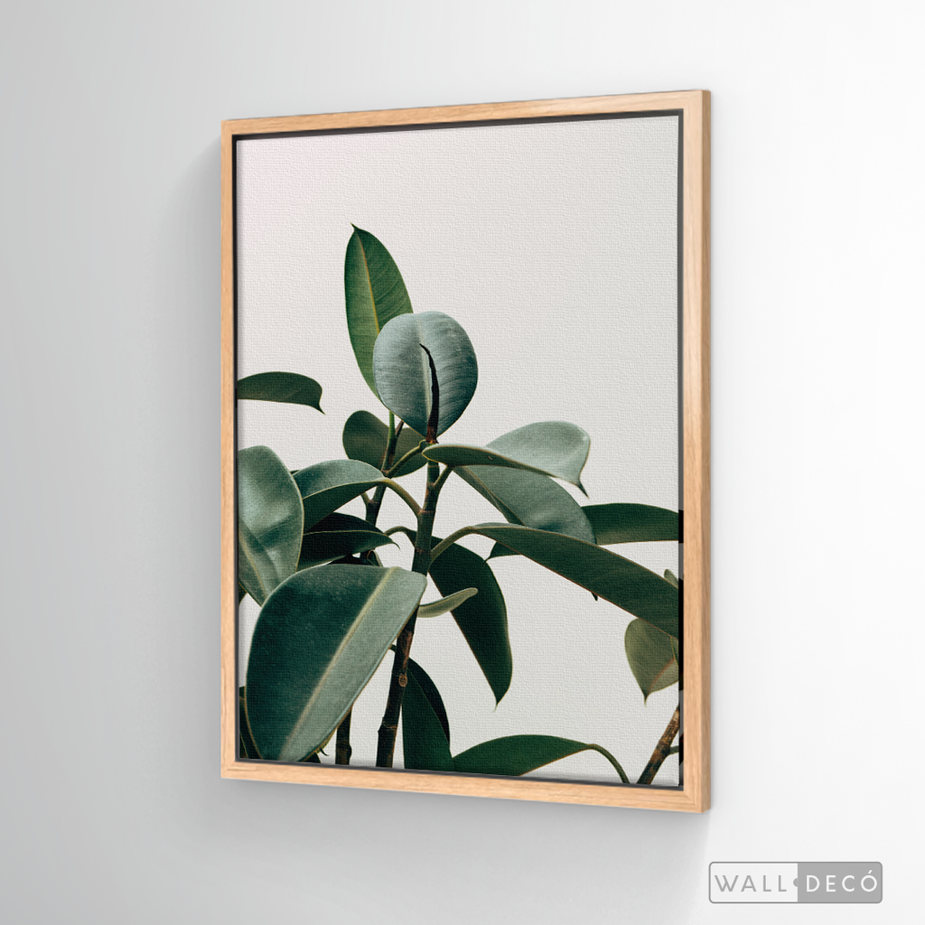 Cuadro Botánico CHEFLERA