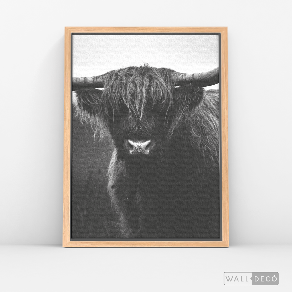 Cuadro Animales Bisonte