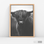 Cuadro Animales Bisonte