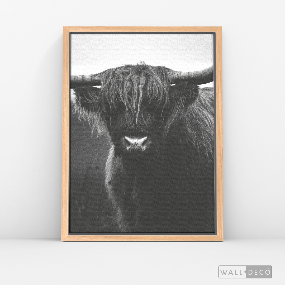 Cuadro Animales Bisonte