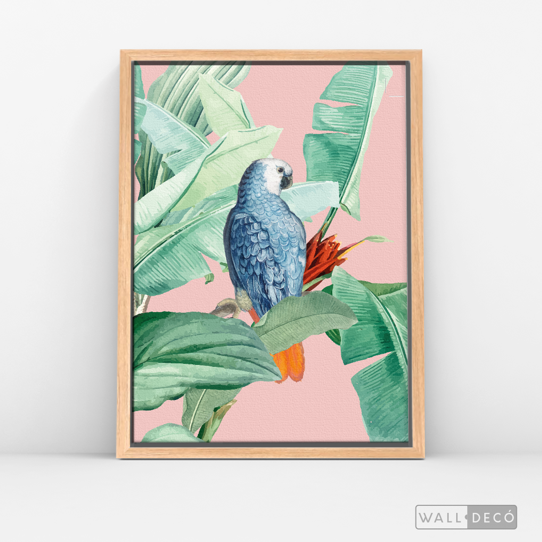 Cuadro Aves Loro Real Azul