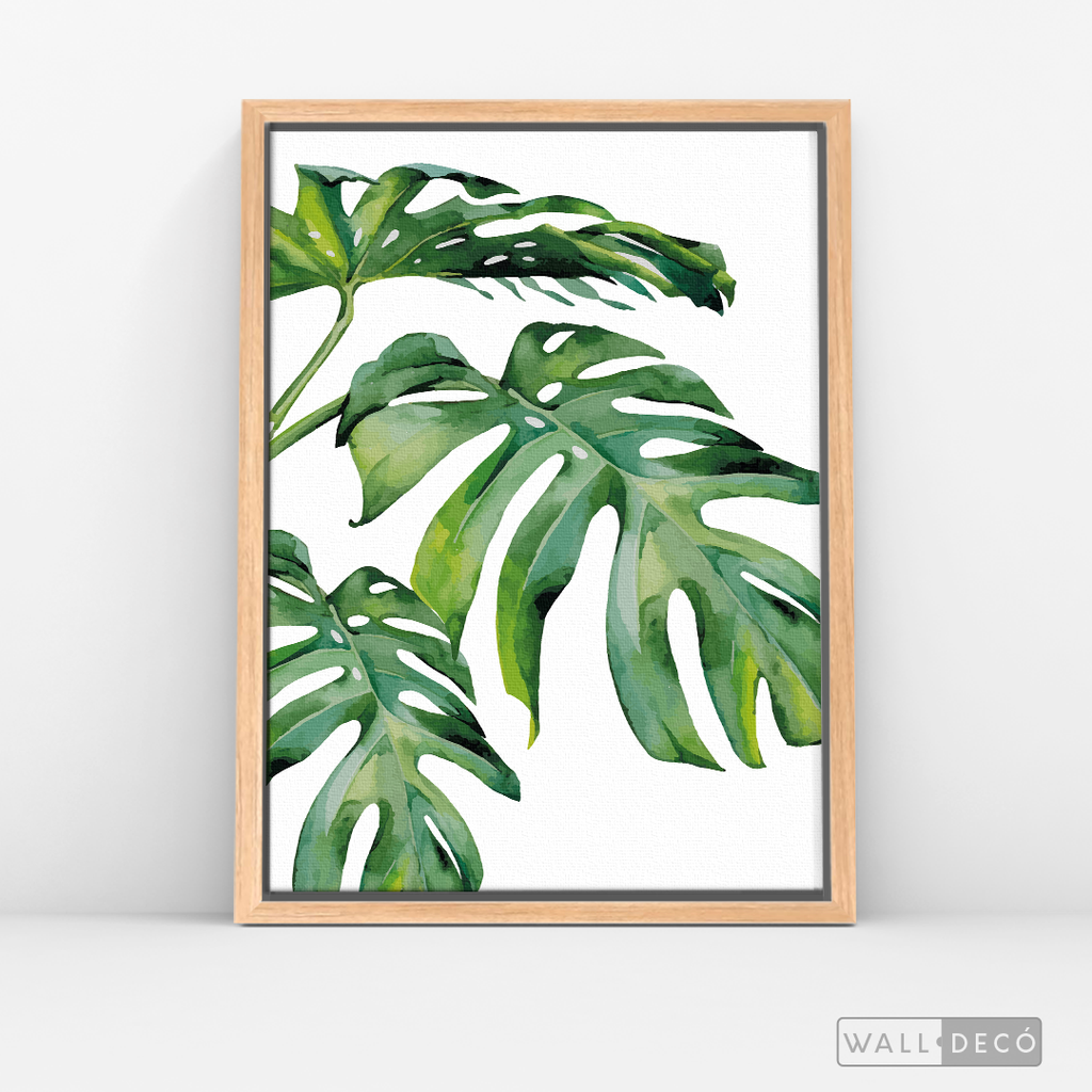 Cuadro Botánico Monstera Deliciosa