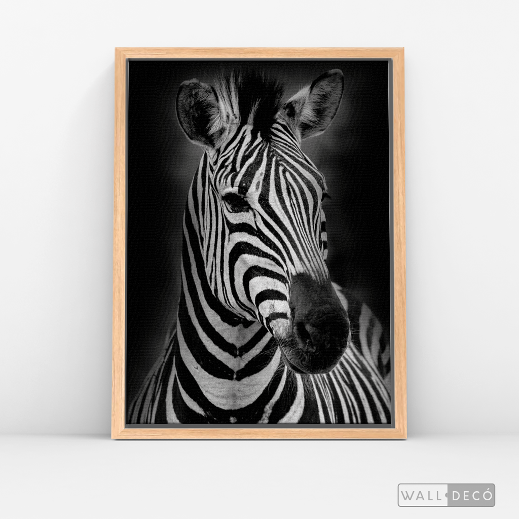 Cuadro Animales Cebra B/N