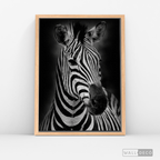 Cuadro Animales Cebra B/N