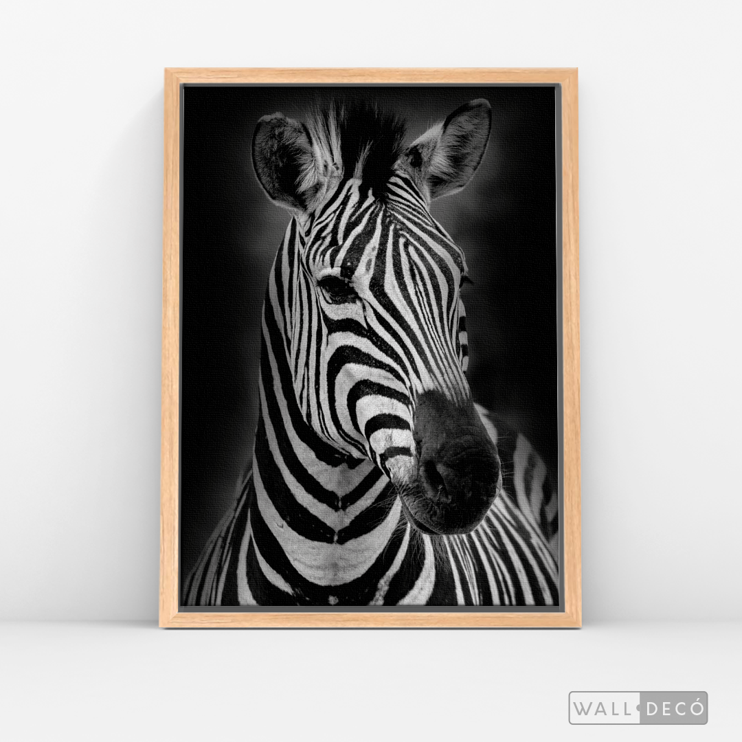 Cuadro Animales Cebra B/N