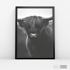 Cuadro Animales Bisonte