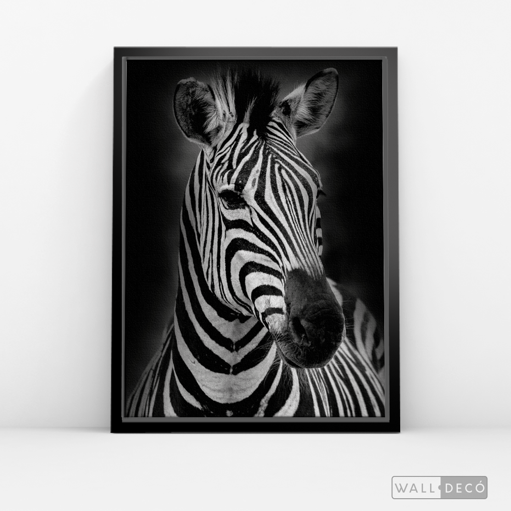 Cuadro Animales Cebra B/N