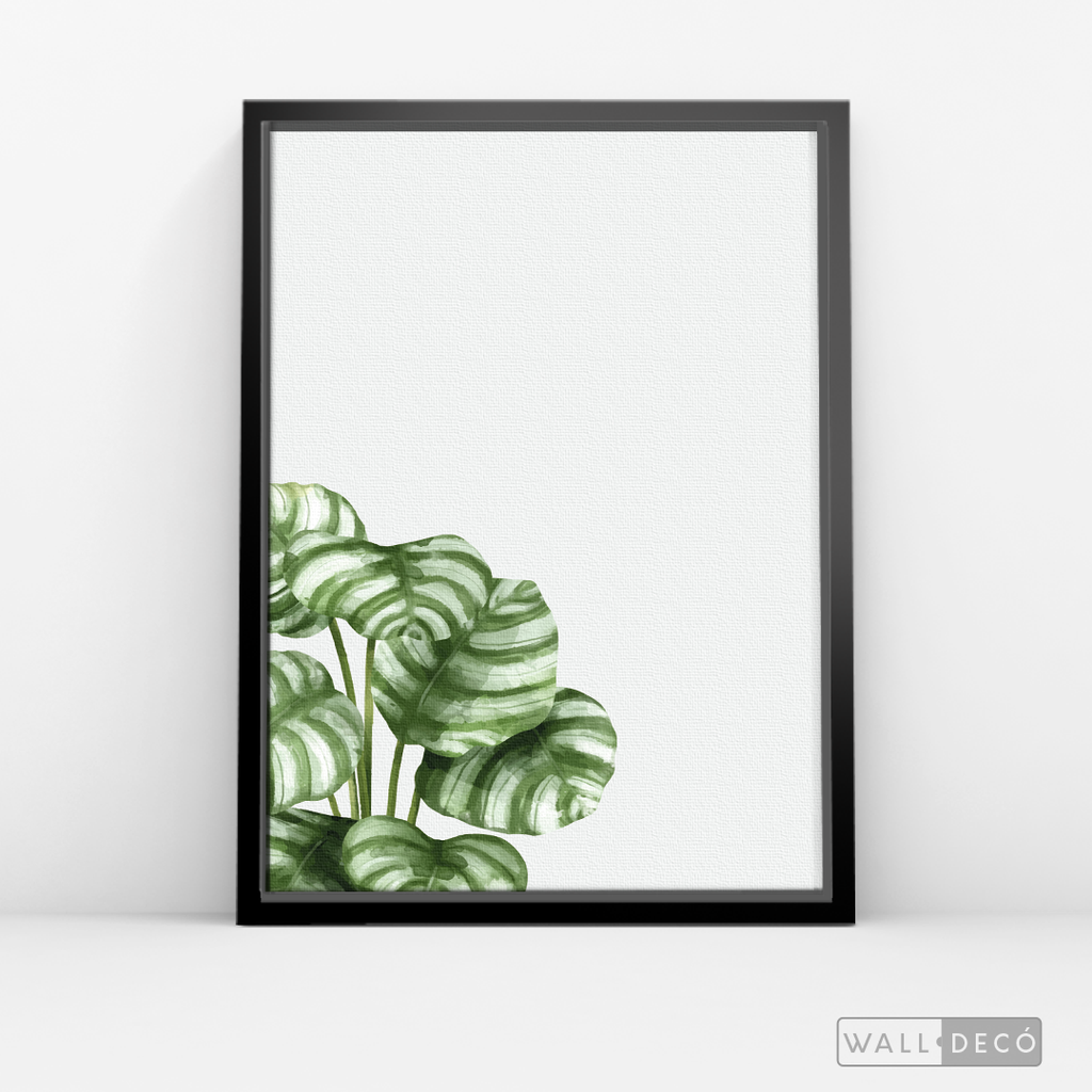 Cuadro Botánico GALATHEA - WalldecóStore