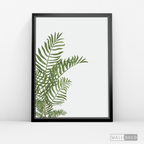 Cuadro Botánico HELECHO - WalldecóStore