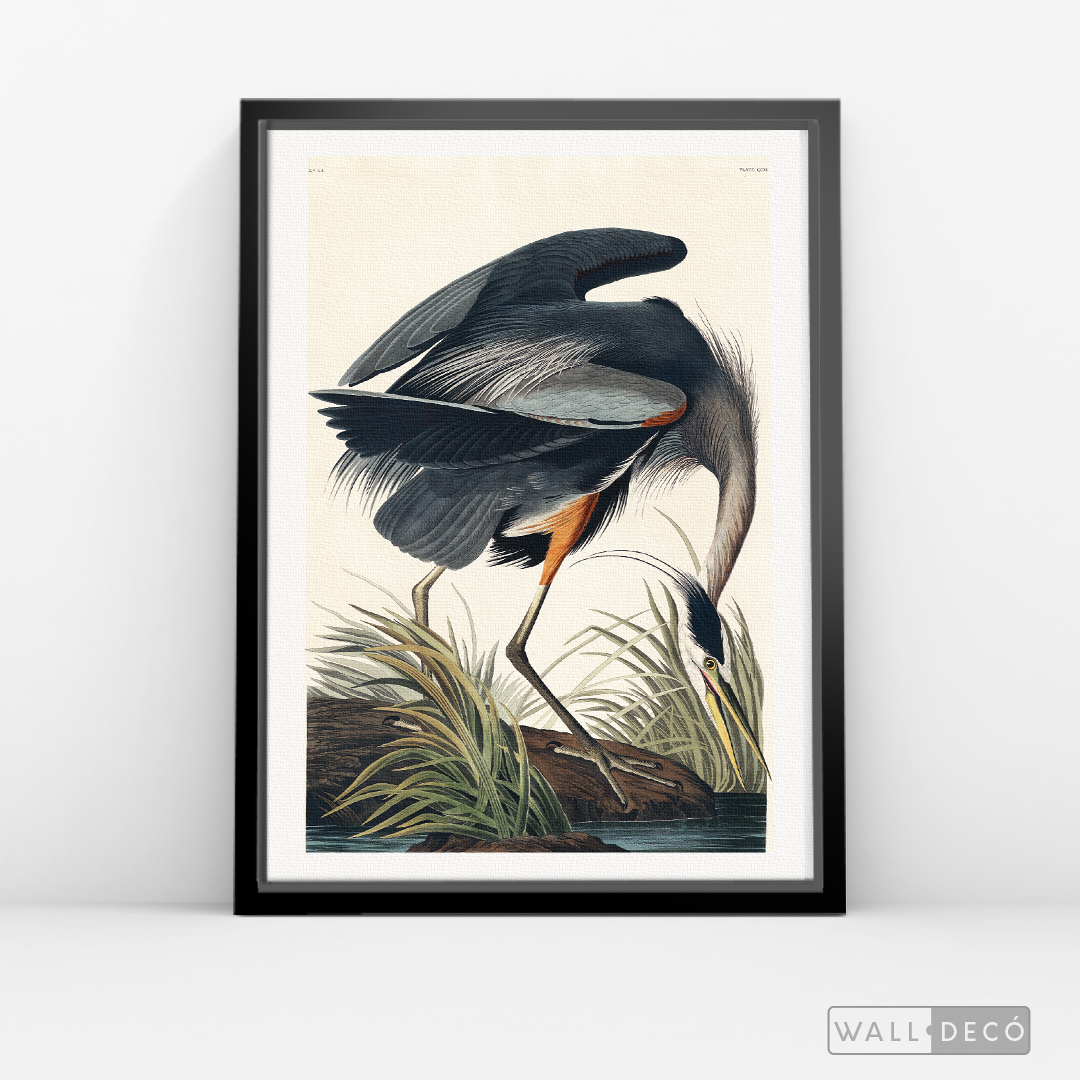 Cuadro Aves Garza