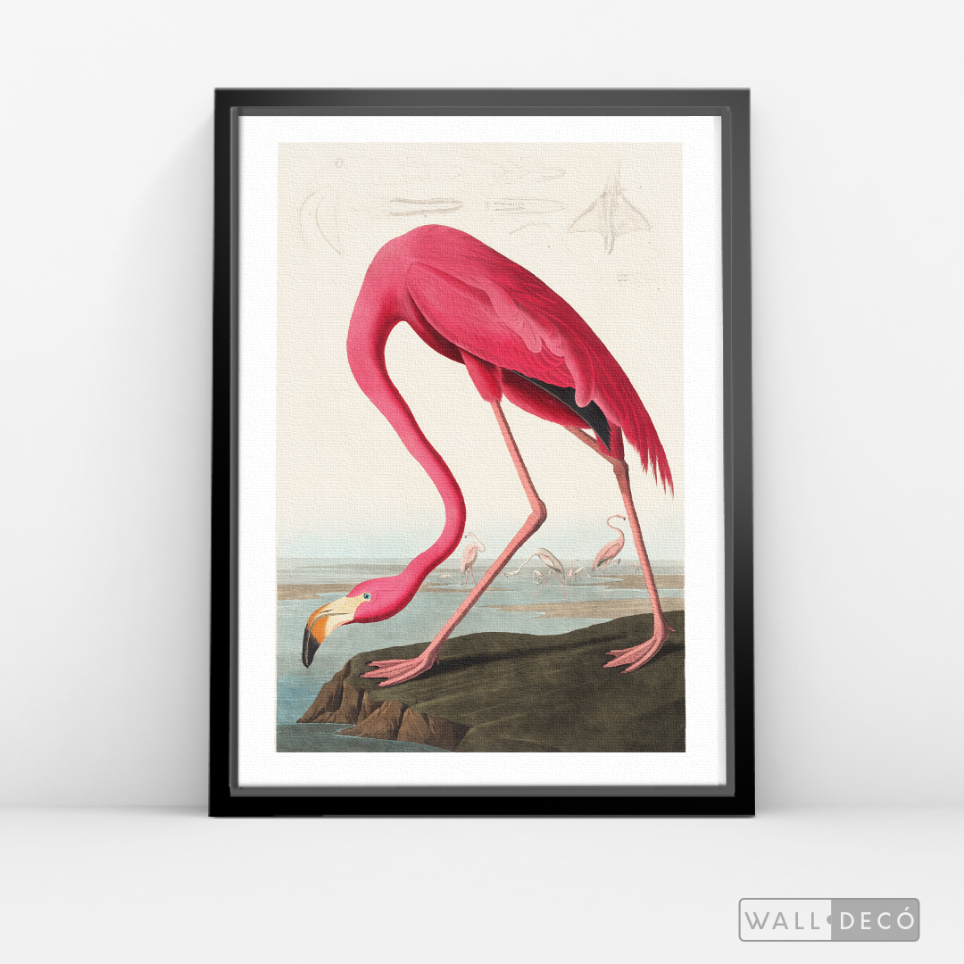 Cuadro Aves Flamenco Mayor