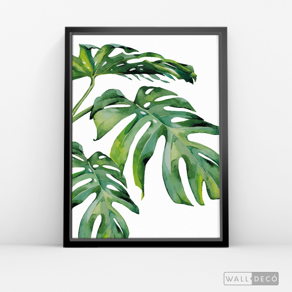 Cuadro Botánico Monstera Deliciosa