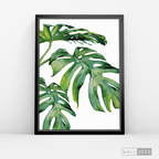 Cuadro Botánico Monstera Deliciosa