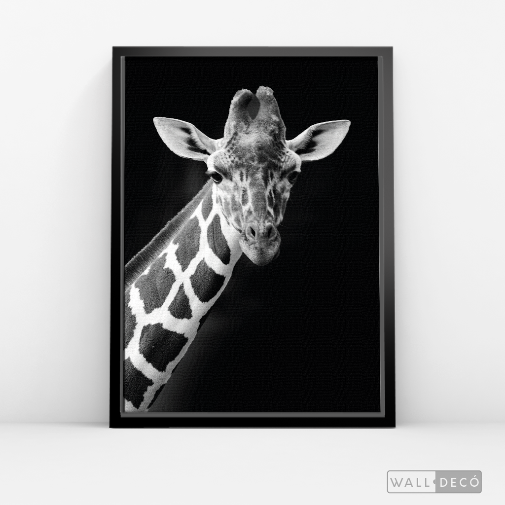 Cuadro Animales Jirafa B/N