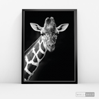 Cuadro Animales Jirafa B/N