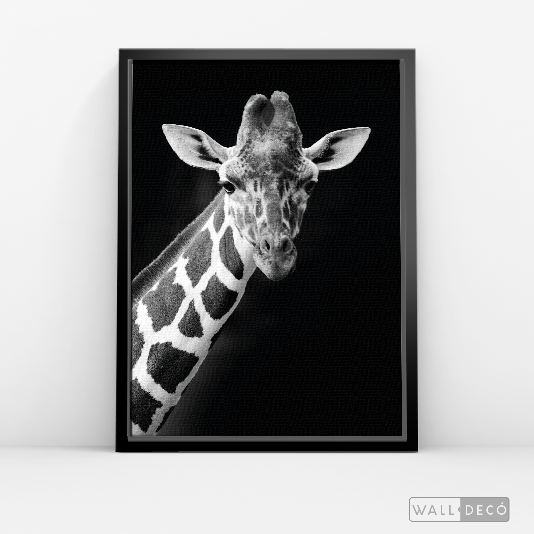 Cuadro Animales Jirafa B/N