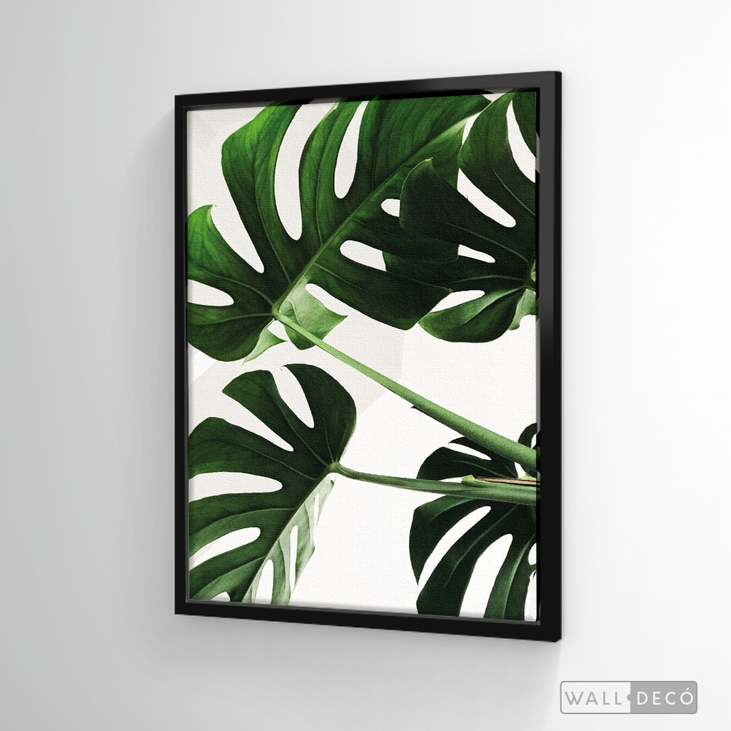 Cuadro Botánico BALAZO REAL - WalldecóStore