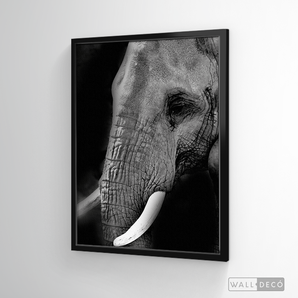 Cuadro Animales Elefante B/N