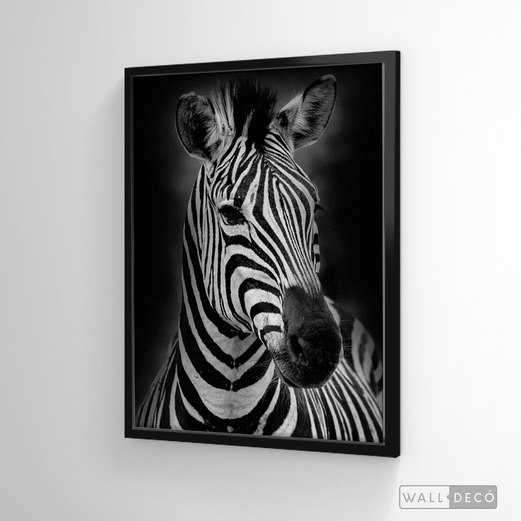 Cuadro Animales Cebra B/N