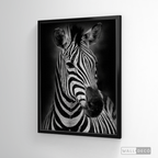 Cuadro Animales Cebra B/N