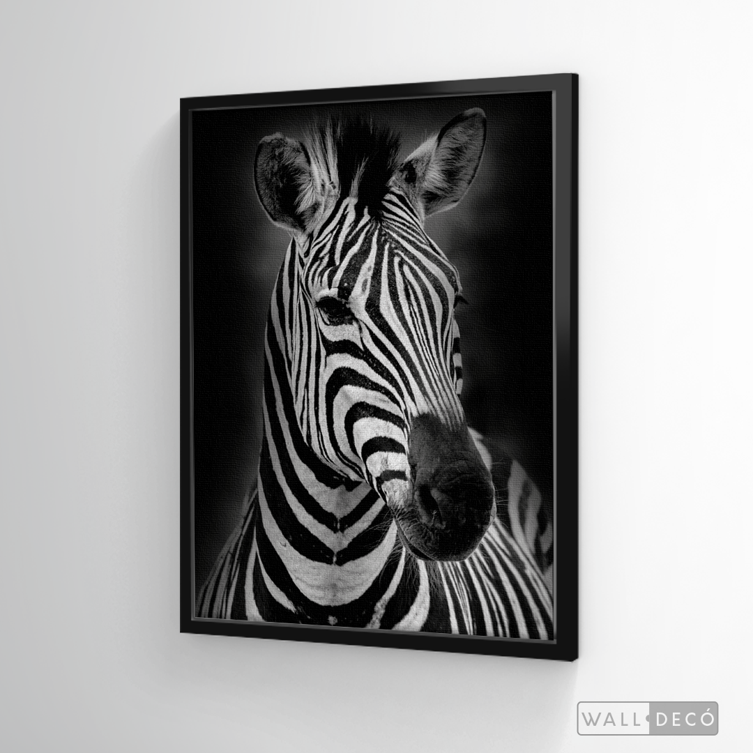 Cuadro Animales Cebra B/N