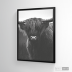 Cuadro Animales Bisonte