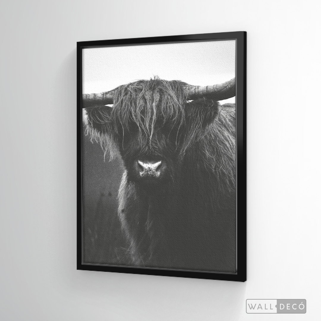 Cuadro Animales Bisonte