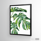 Cuadro Botánico Monstera Deliciosa