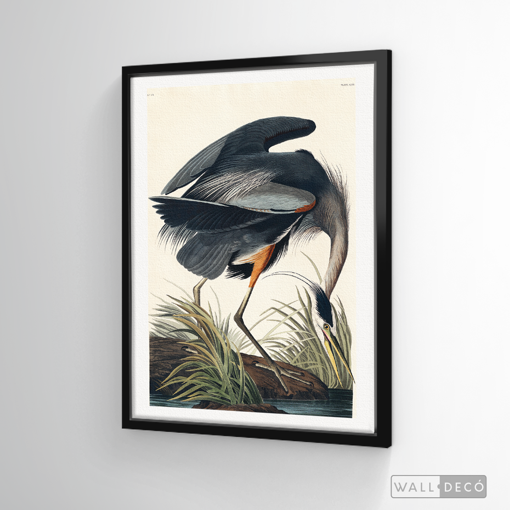 Cuadro Aves Garza
