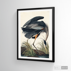 Cuadro Aves Garza