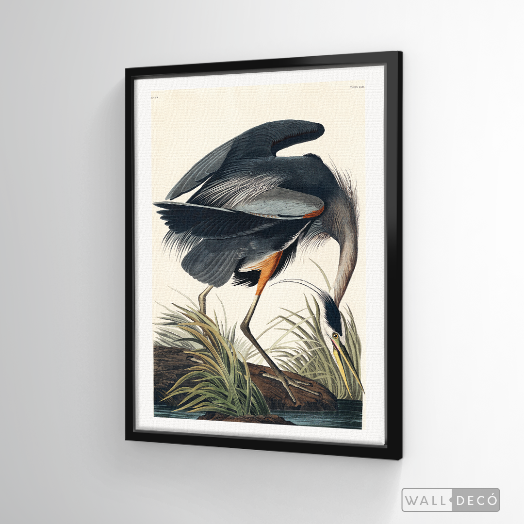 Cuadro Aves Garza