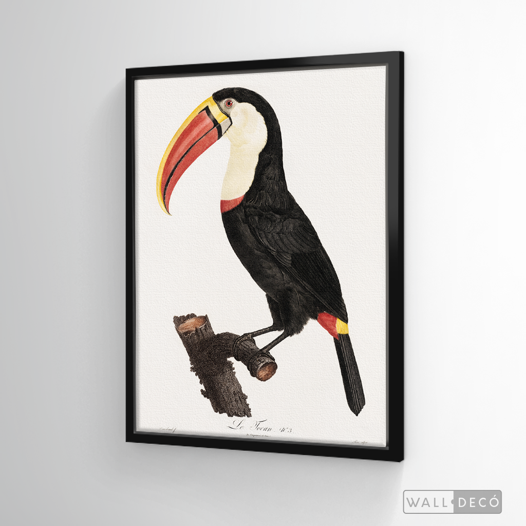 Cuadro Aves Tucan Colombiano 2